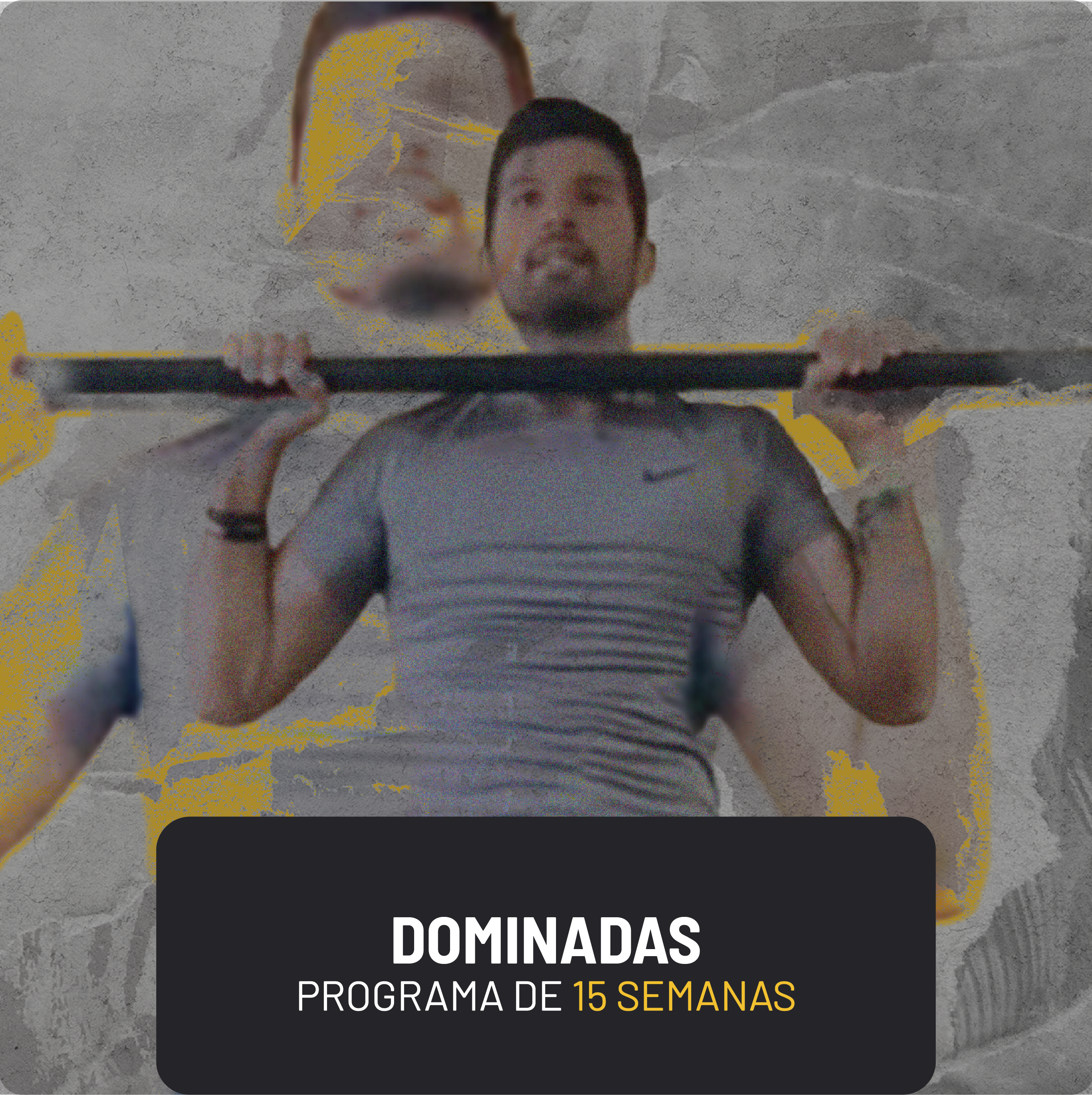 Entrenamiento de Dominadas: 15 semanas